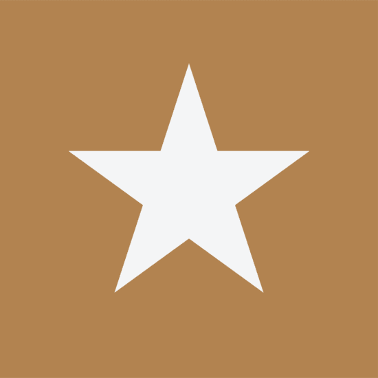 Alt Image Attribute